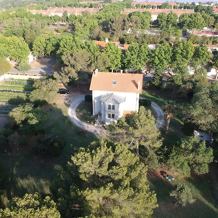 Bed and Breakfast Un Nid en Camargue Salin-de-Giraud Exterior foto